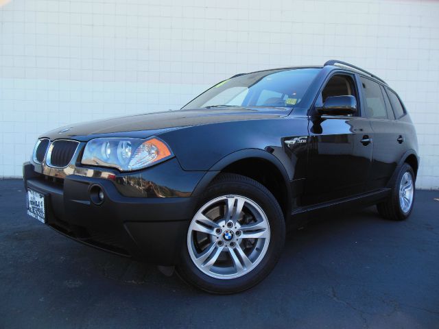 2004 BMW X3 Lightning