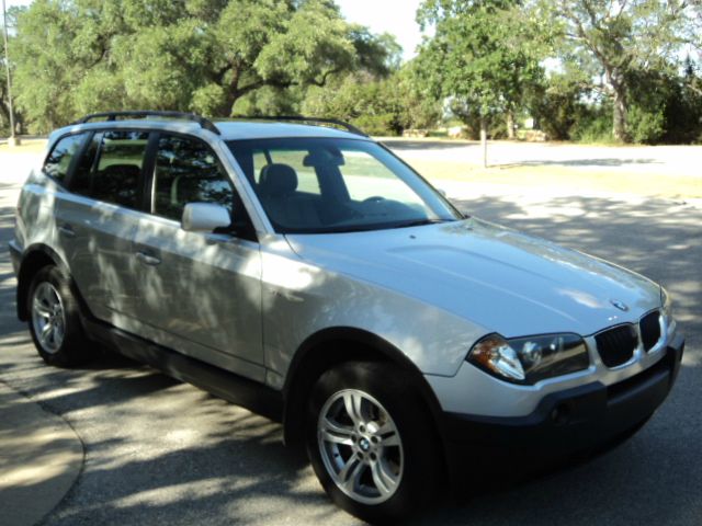 2004 BMW X3 Lightning