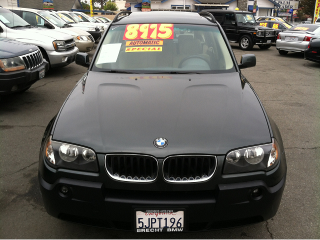 2004 BMW X3 Lightning