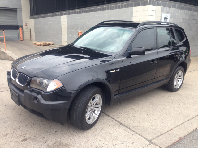 2004 BMW X3 Lightning