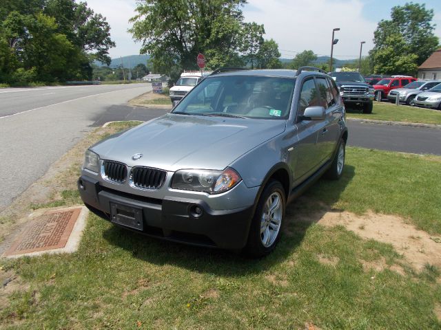 2004 BMW X3 Lightning