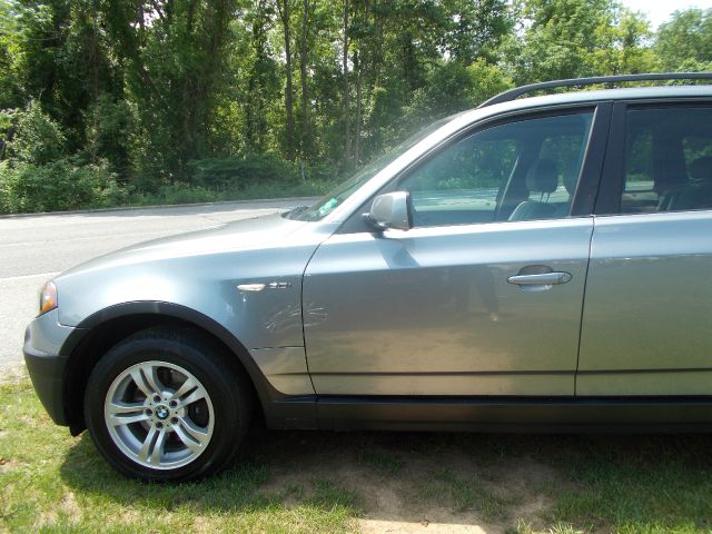 2004 BMW X3 Lightning