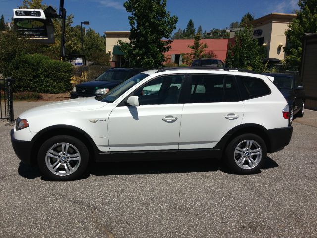 2004 BMW X3 Lightning