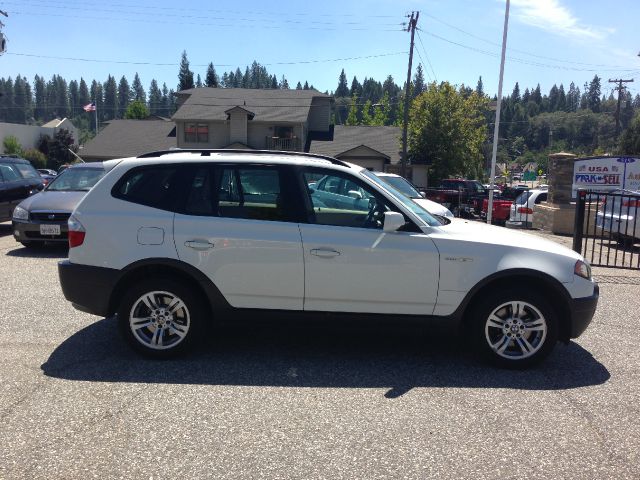 2004 BMW X3 Lightning