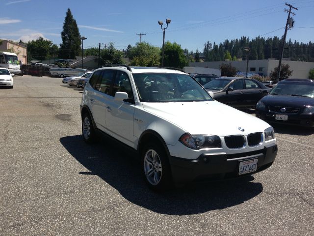 2004 BMW X3 Lightning