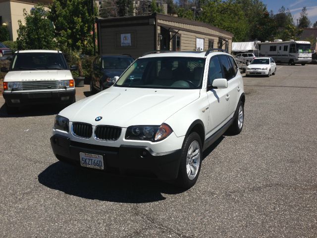 2004 BMW X3 Lightning