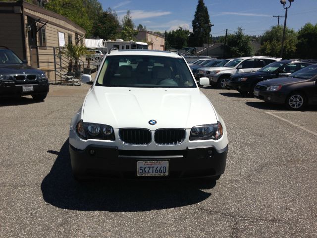 2004 BMW X3 Lightning