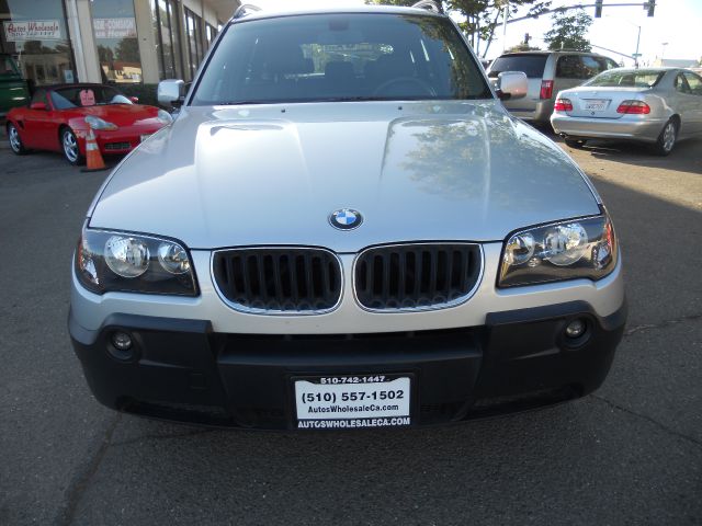 2005 BMW X3 Lightning