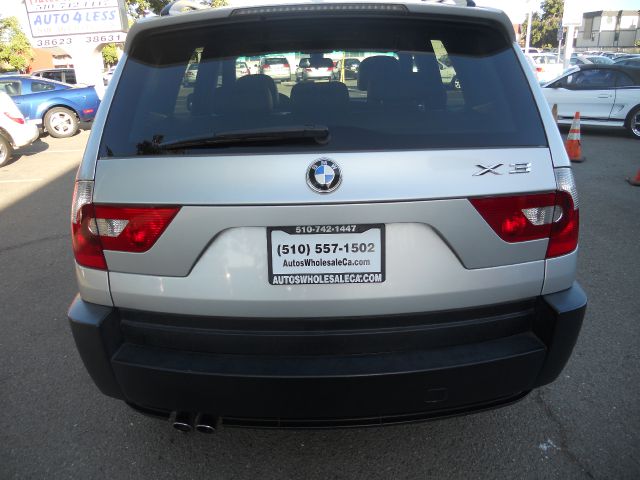 2005 BMW X3 Lightning