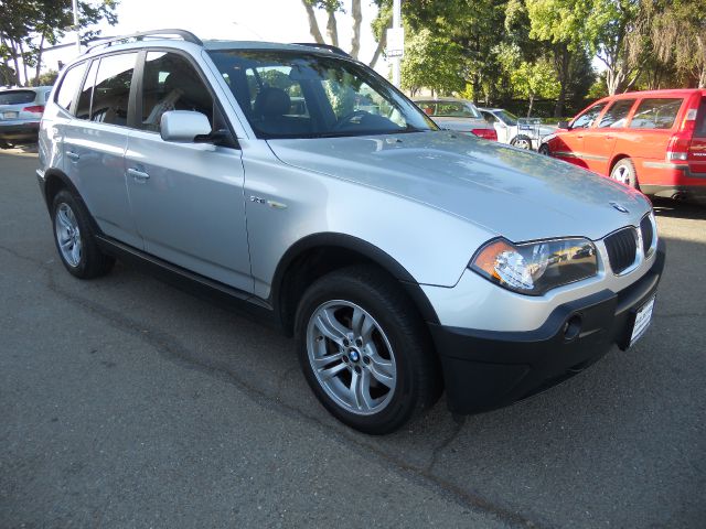 2005 BMW X3 Lightning