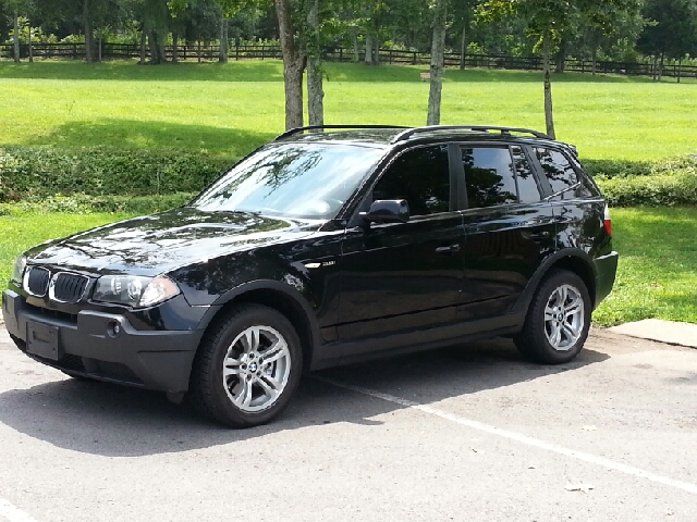 2005 BMW X3 Lightning