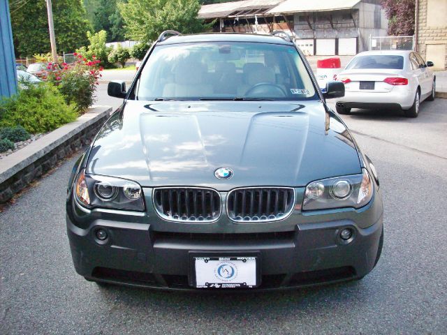 2005 BMW X3 Lightning