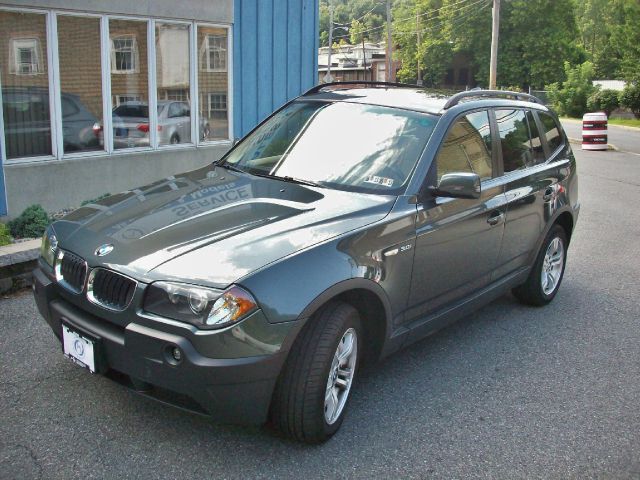 2005 BMW X3 Lightning