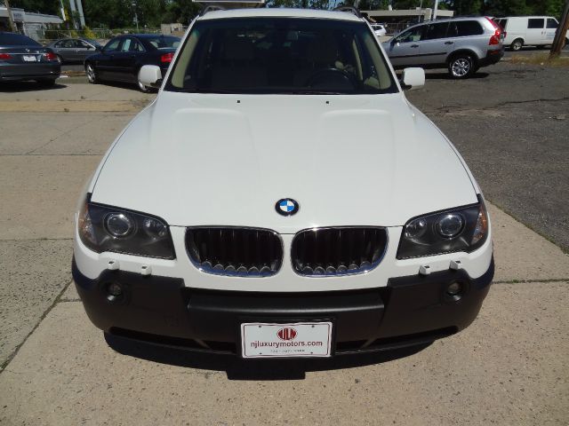 2005 BMW X3 Lightning