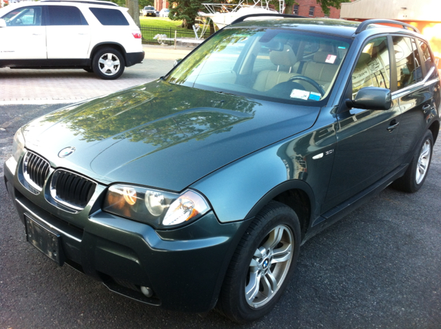 2006 BMW X3 Lightning