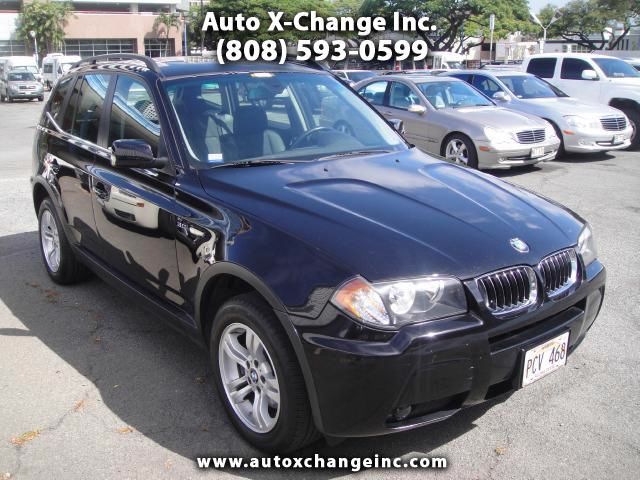 2006 BMW X3 Lightning