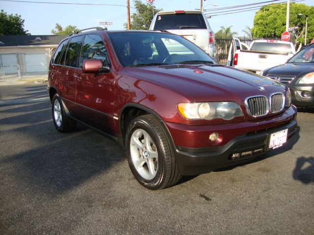 2001 BMW X5 Lightning