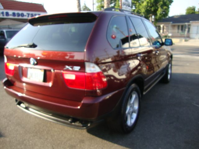 2001 BMW X5 Lightning