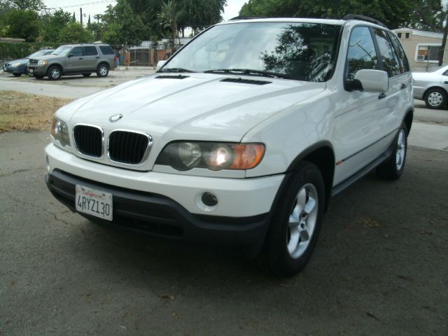 2001 BMW X5 Lightning