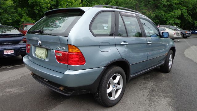 2002 BMW X5 Lightning