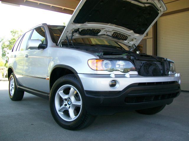 2002 BMW X5 Lightning