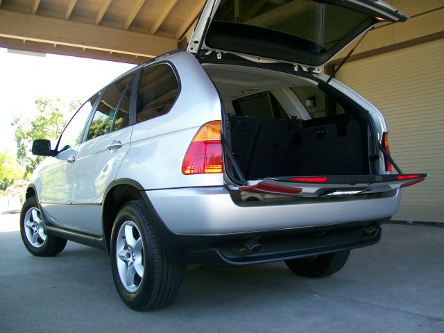 2002 BMW X5 Lightning