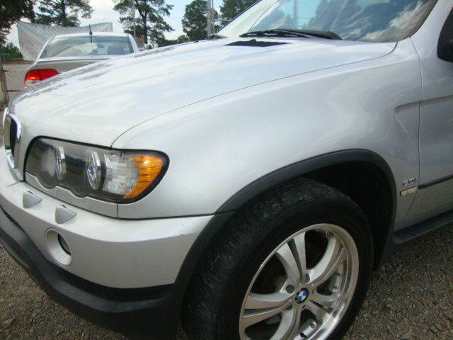 2002 BMW X5 Lightning