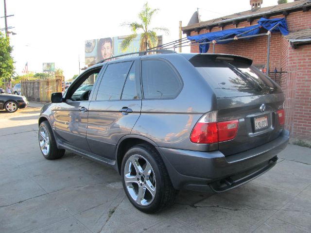 2003 BMW X5 Lightning