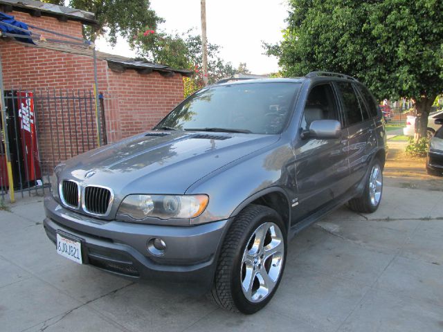 2003 BMW X5 Lightning