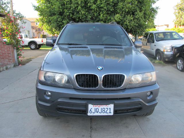 2003 BMW X5 Lightning