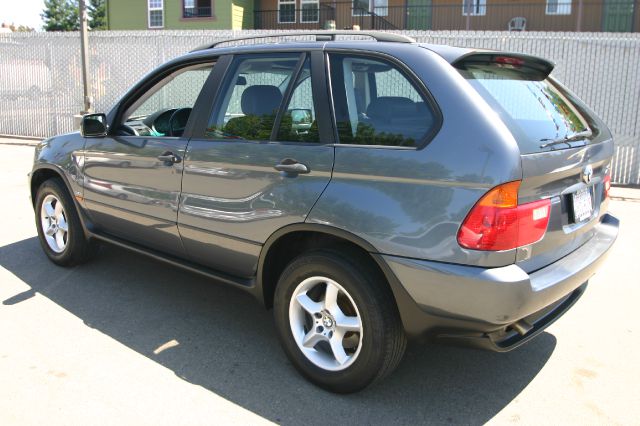 2003 BMW X5 Lightning