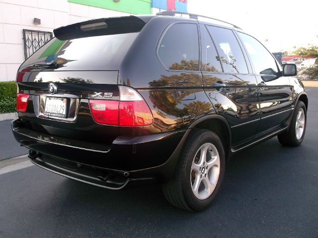 2003 BMW X5 Lightning