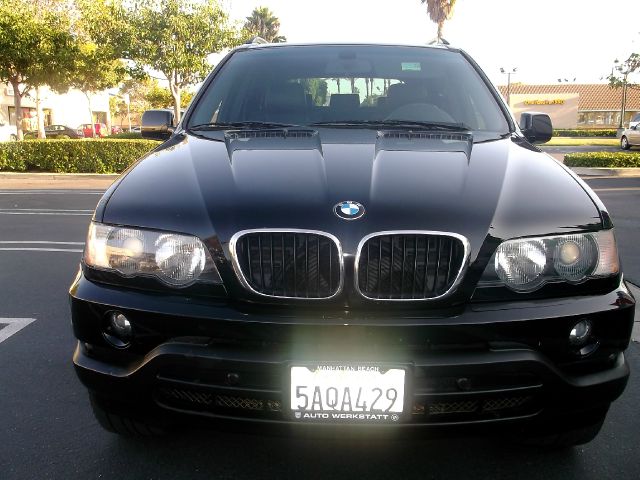 2003 BMW X5 Lightning