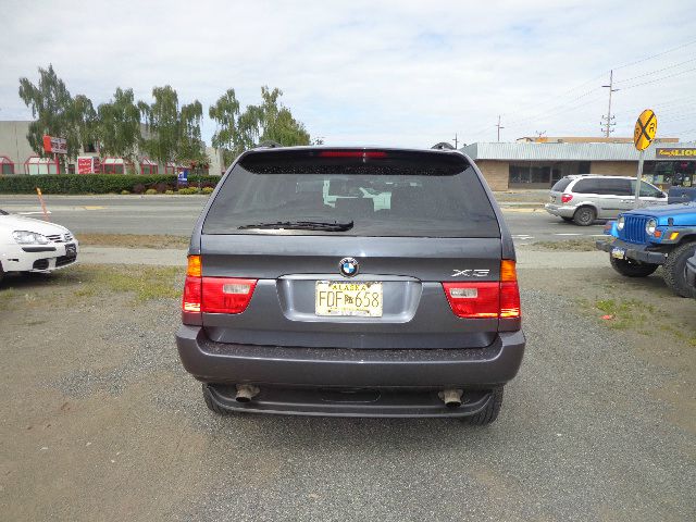 2003 BMW X5 Lightning