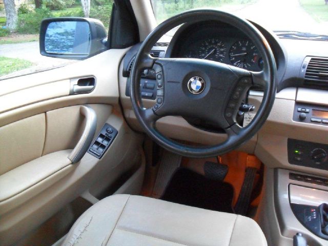 2004 BMW X5 Lightning