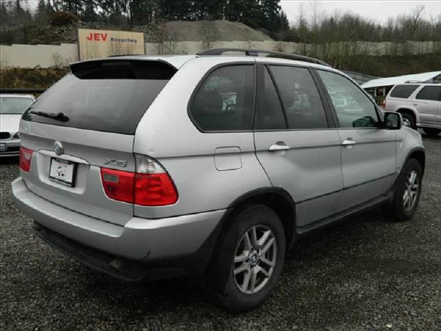 2004 BMW X5 Lightning