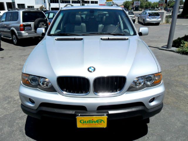 2004 BMW X5 Lightning