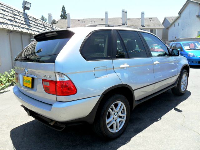 2004 BMW X5 Lightning