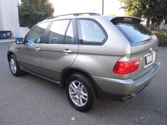 2004 BMW X5 Lightning