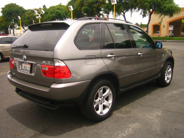 2004 BMW X5 Lightning