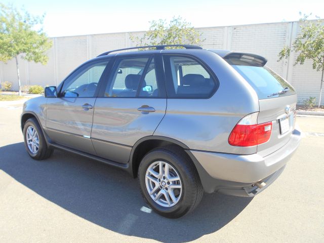 2004 BMW X5 Lightning