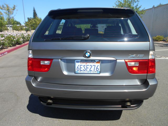 2004 BMW X5 Lightning