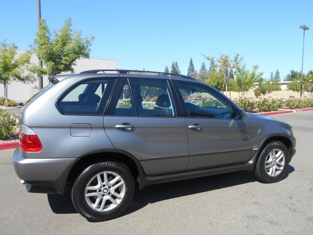 2004 BMW X5 Lightning