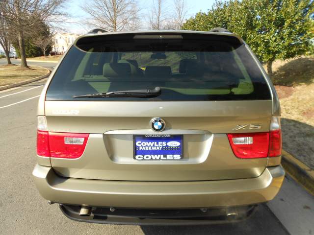 2004 BMW X5 Lightning