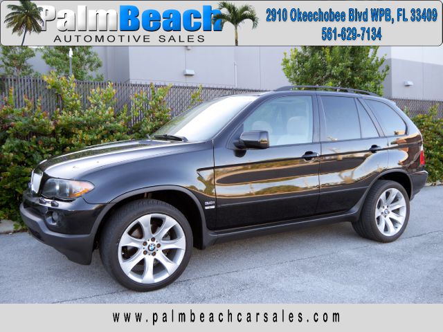 2005 BMW X5 Lightning