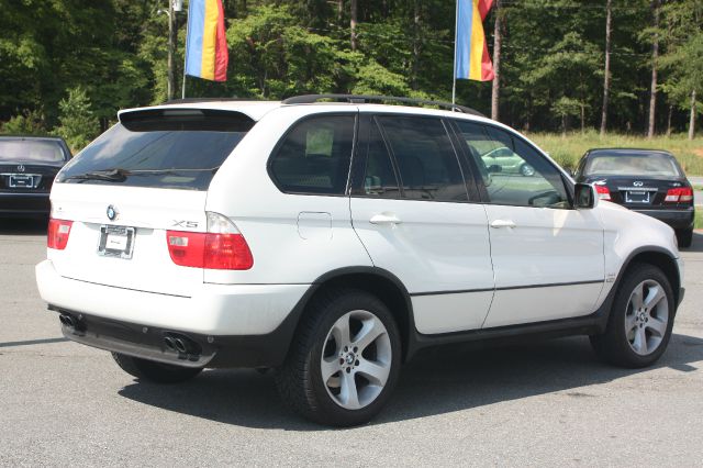 2006 BMW X5 Rally Stripe