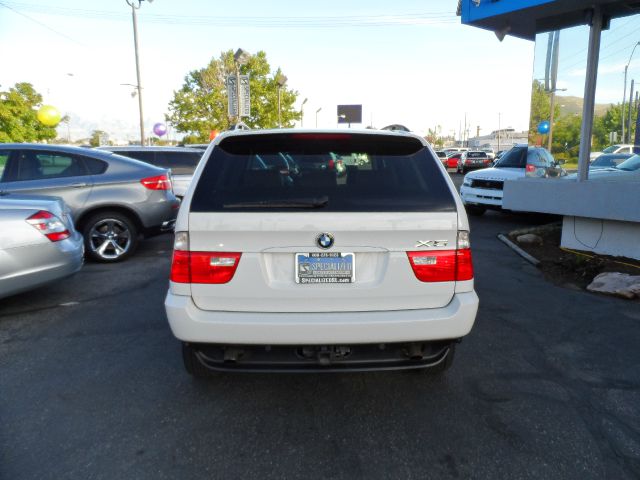 2006 BMW X5 Lightning