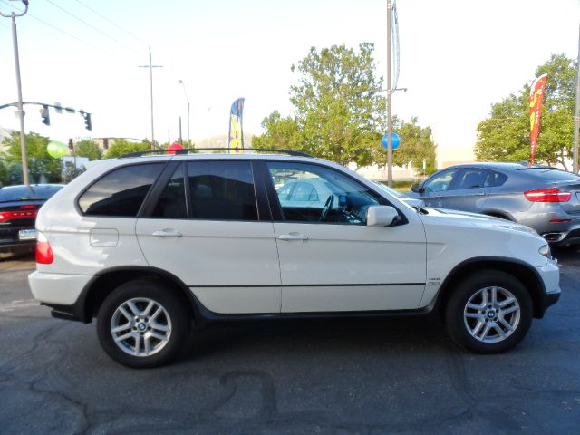 2006 BMW X5 Lightning