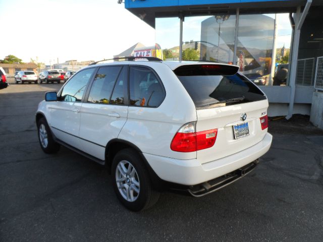 2006 BMW X5 Lightning