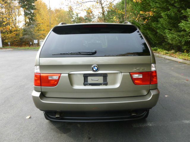 2006 BMW X5 Lightning